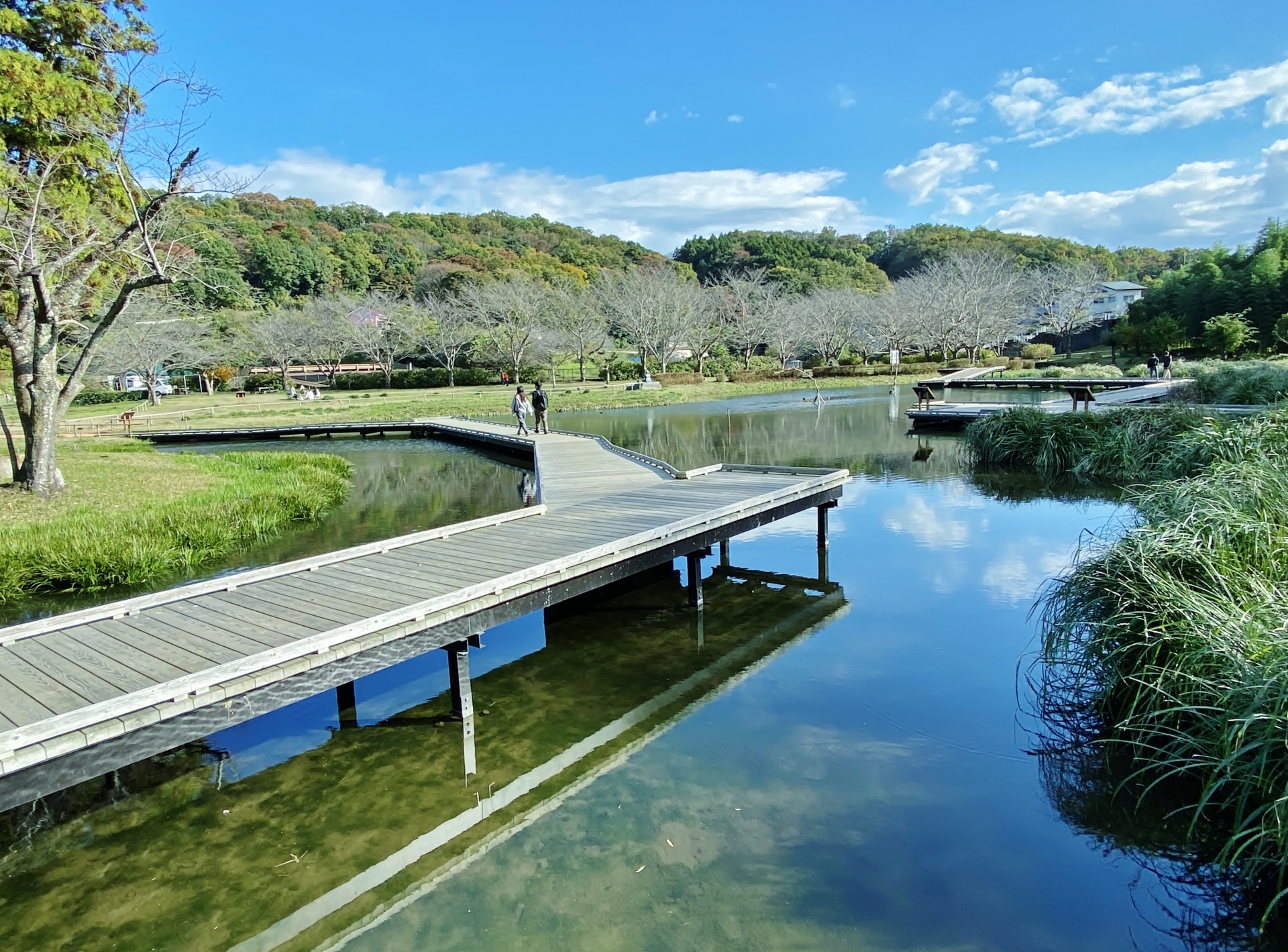 中井町の風景